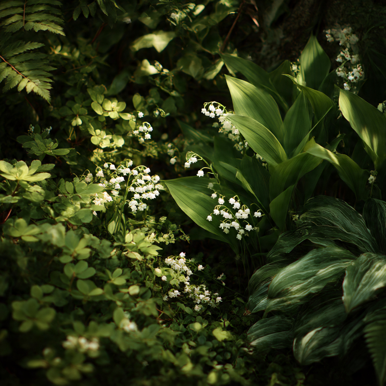 Fragrant Shade Plants for Sensory Appeal