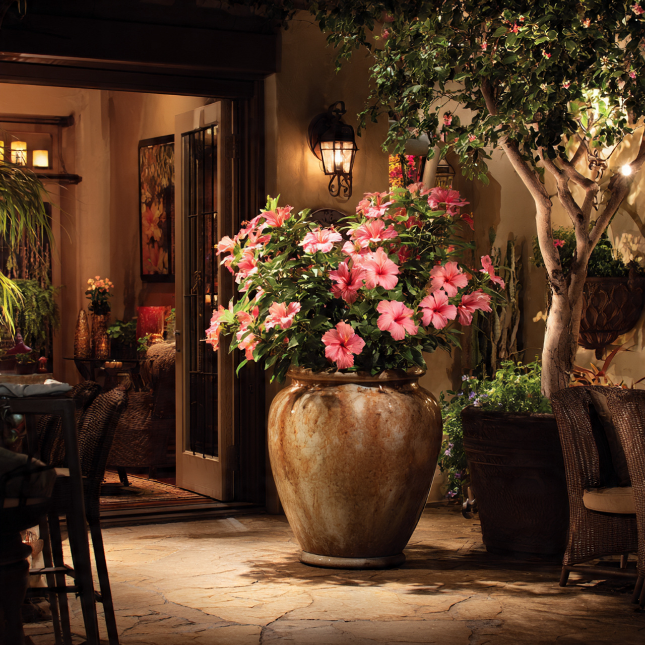 Hibiscus Flower as a Patio Centerpiece