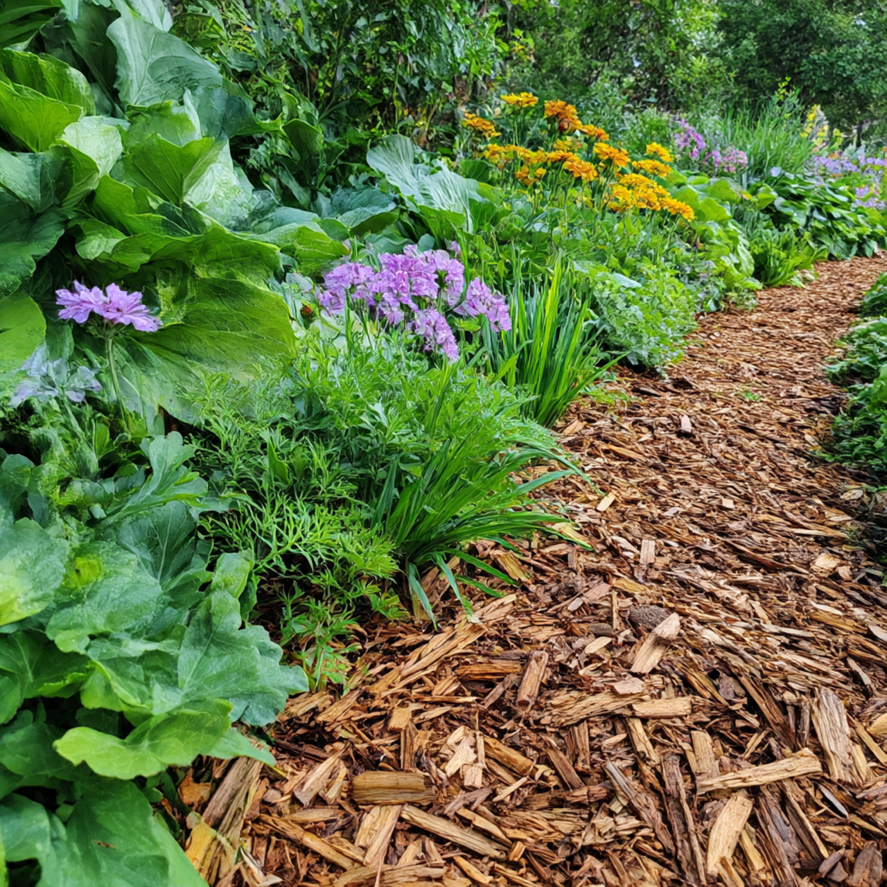 Mulch for Moisture and Weed Control