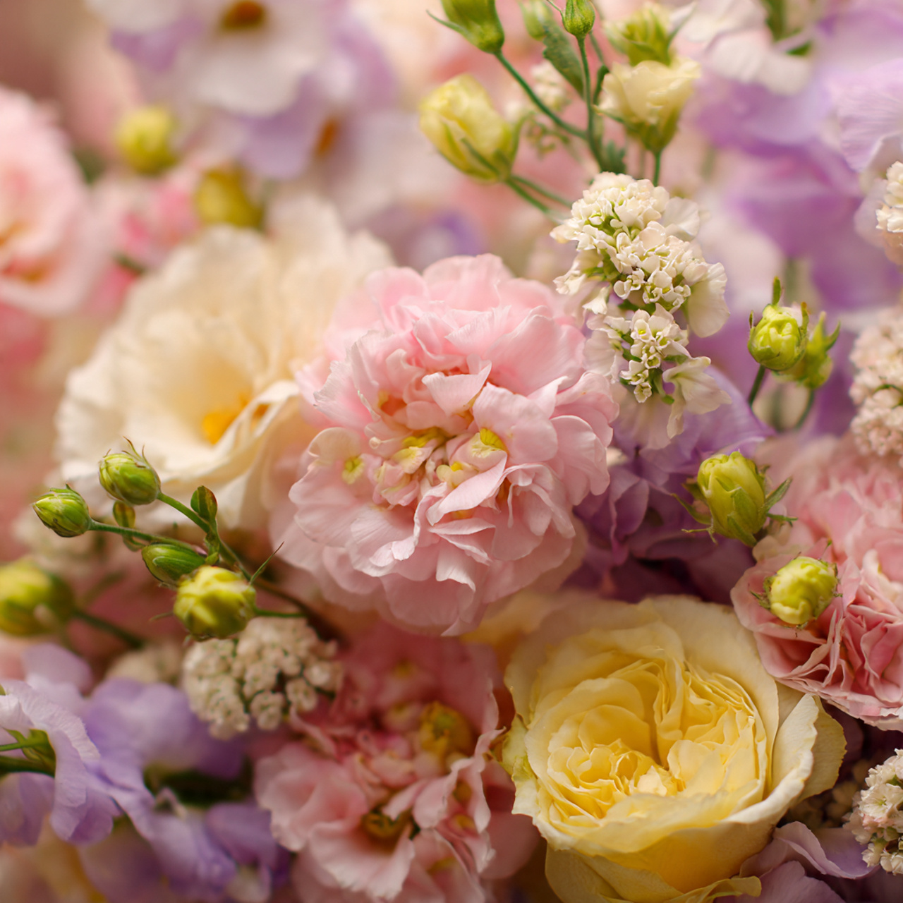 Pastel-Themed Spring Flowers