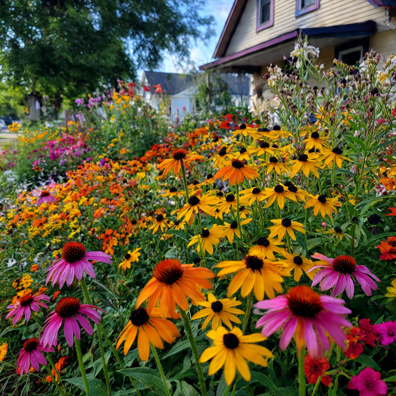 Pollinator-Friendly Flower Garden Design