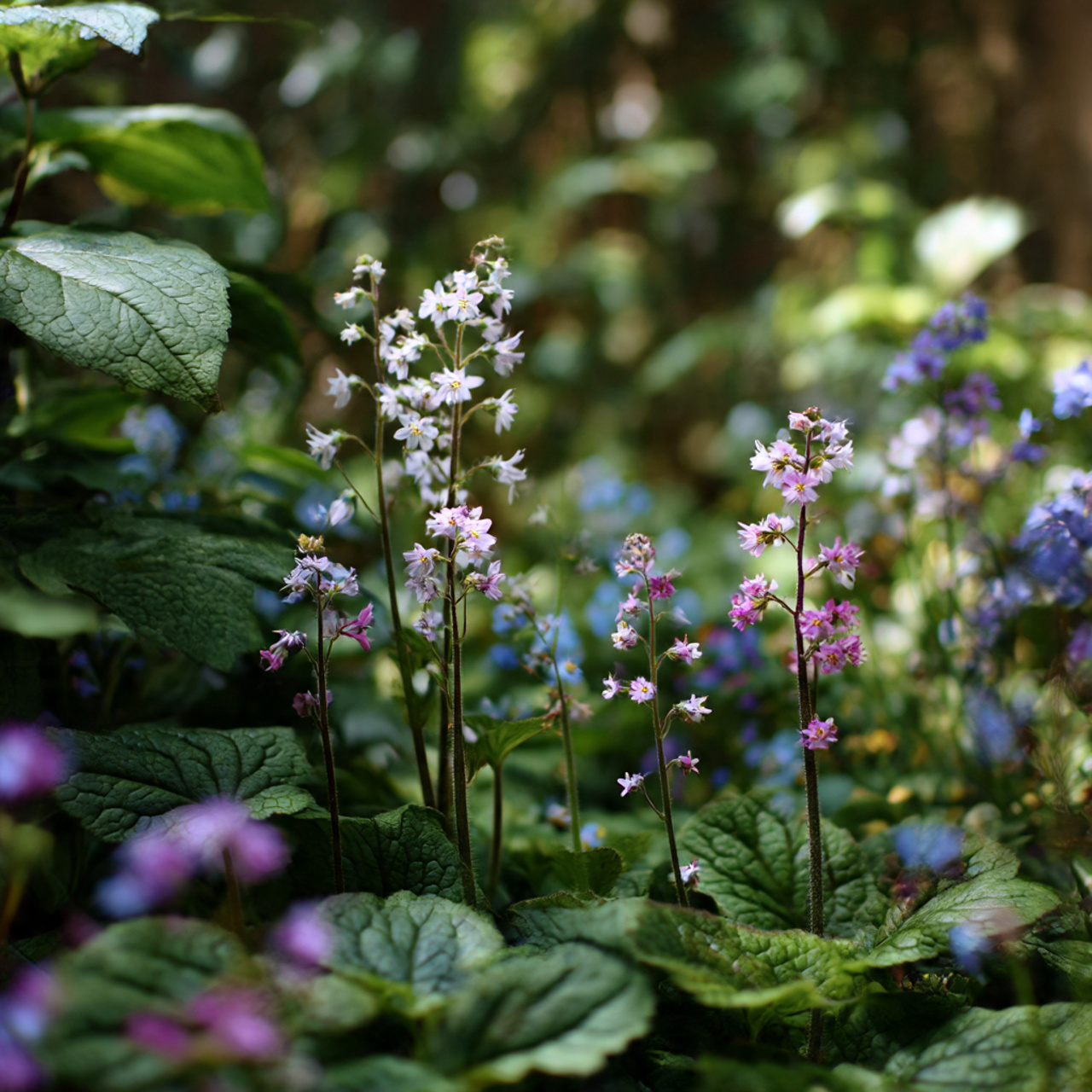 Pollinator-Friendly Shade Plants