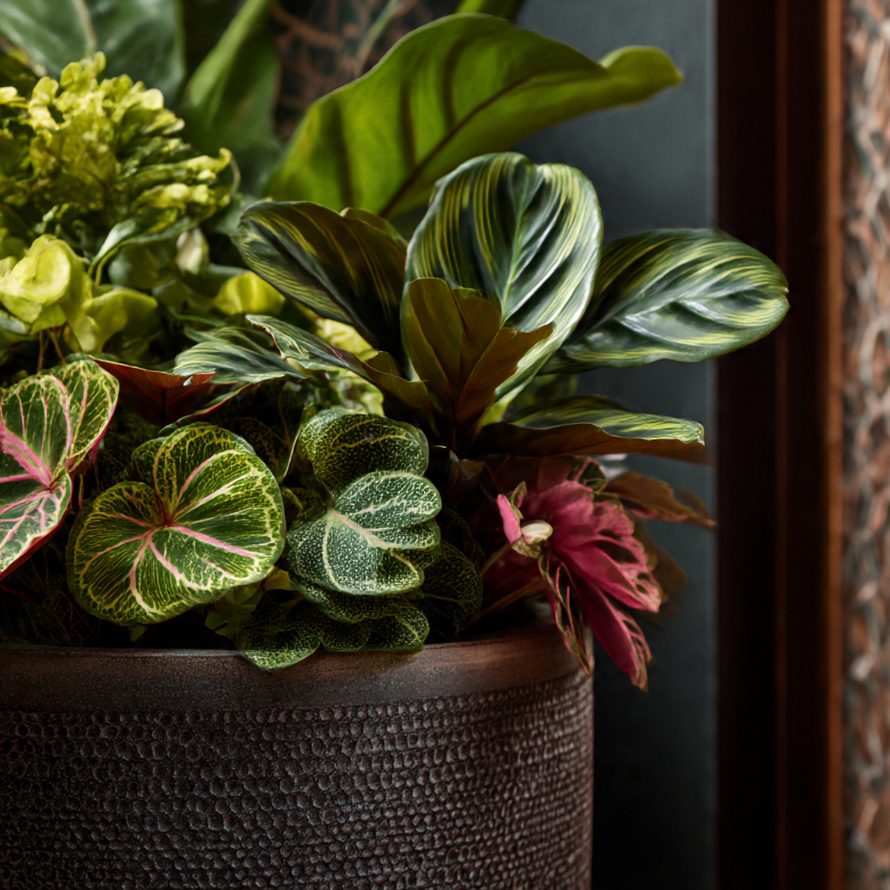 Textured House Plants