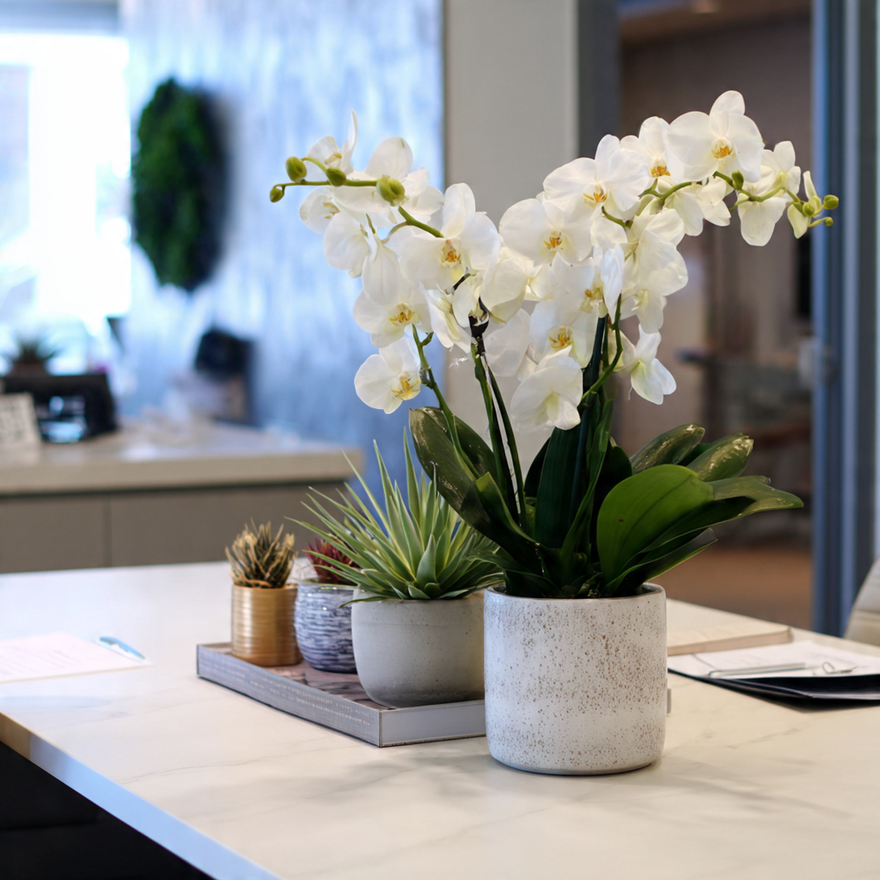 low maintenance office floral arrangement with orchids and