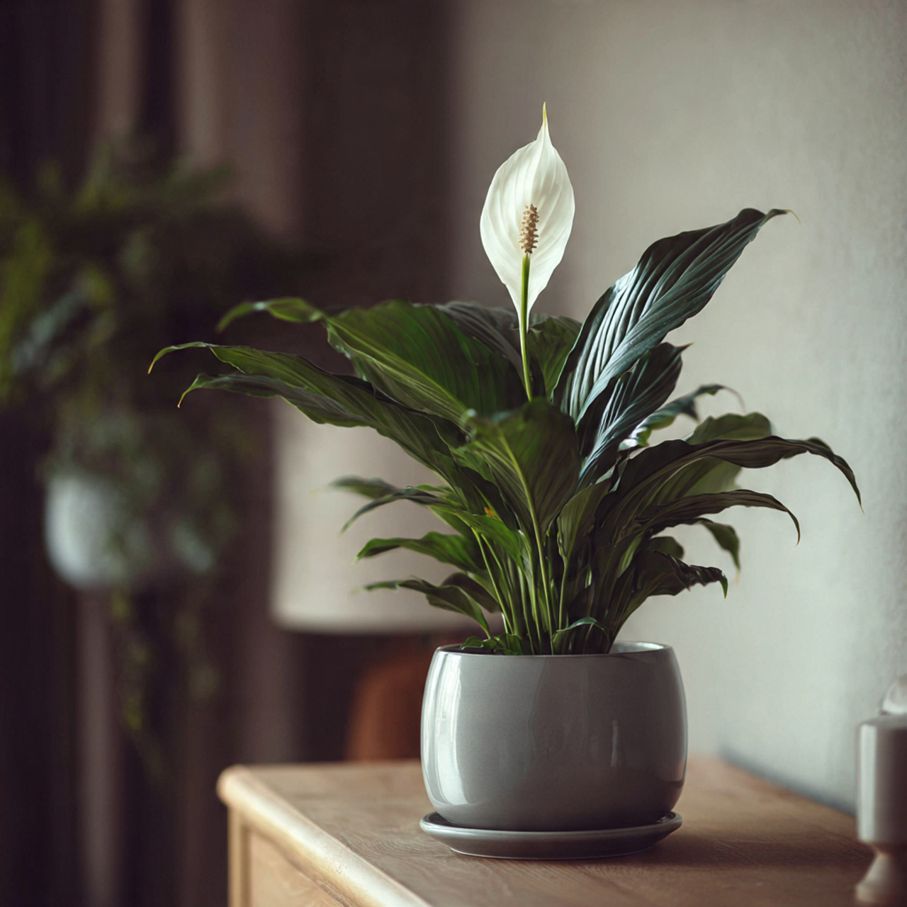The Communicative Peace Lily