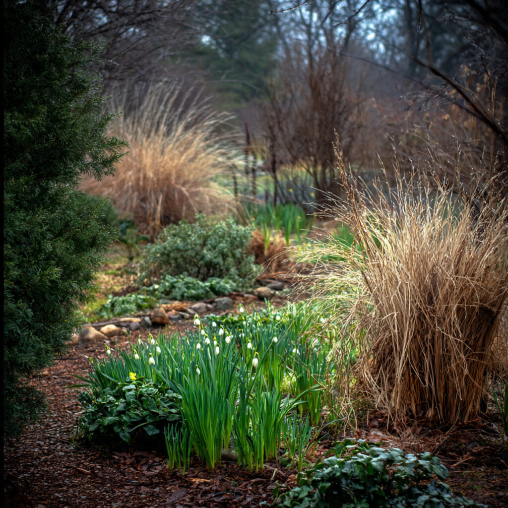 Winter Garden: 18 Ideas to Transform Your Cold-Season Space 15 Seasonal Transition Planning